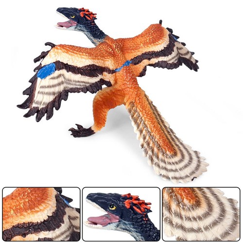 Archaeopteryx dinosaur model - dinosaur,