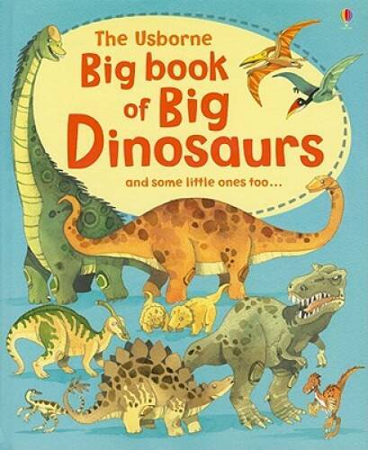 The usborne big book - book,